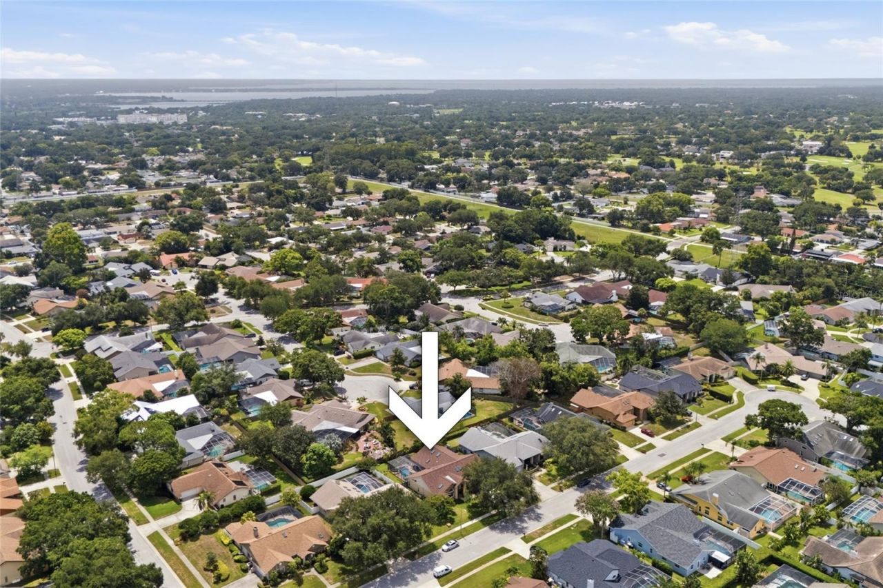 3367 E Lake Shore Lane , Clearwater, FL 33761 Photo