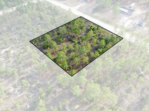 0000 NE 131 LOT 7 TERRACE , WILLISTON, FL 32696