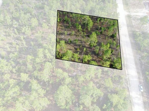 0000 NE 131 LOT 8 TERRACE , WILLISTON, FL 32696