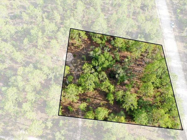 0000 NE 131 LOT 9 TERRACE , WILLISTON, FL 32696