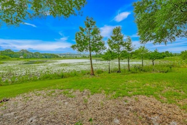 14436 Clerando Dr , Clermont, FL 34711 Photo