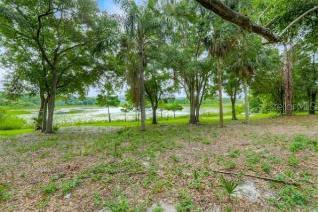 14436 Clerando Dr , Clermont, FL 34711 Photo