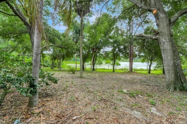 14436 Clerando Dr , Clermont, FL 34711 Photo