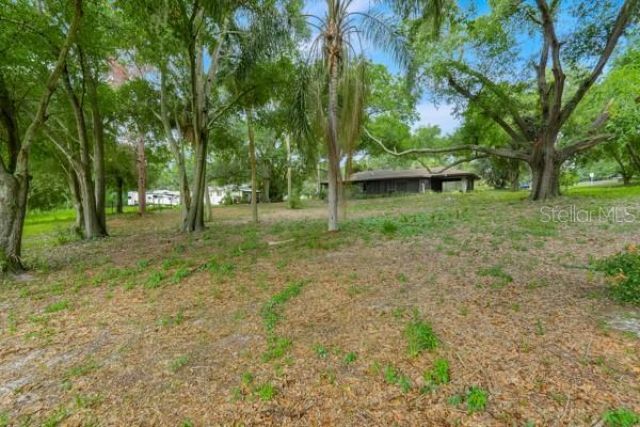 14436 Clerando Dr , Clermont, FL 34711 Photo