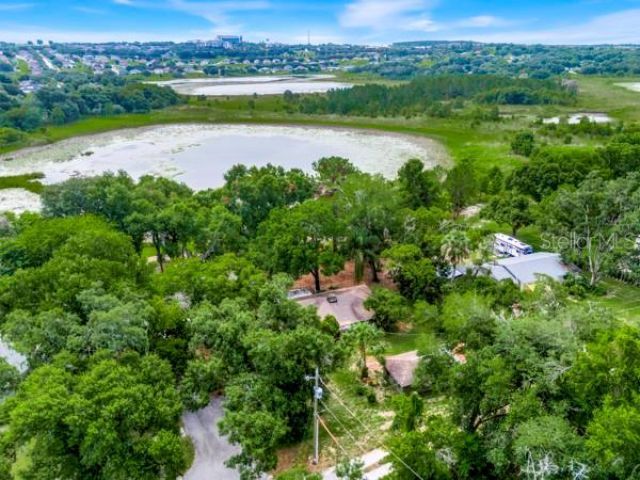 14436 Clerando Dr , Clermont, FL 34711 Photo