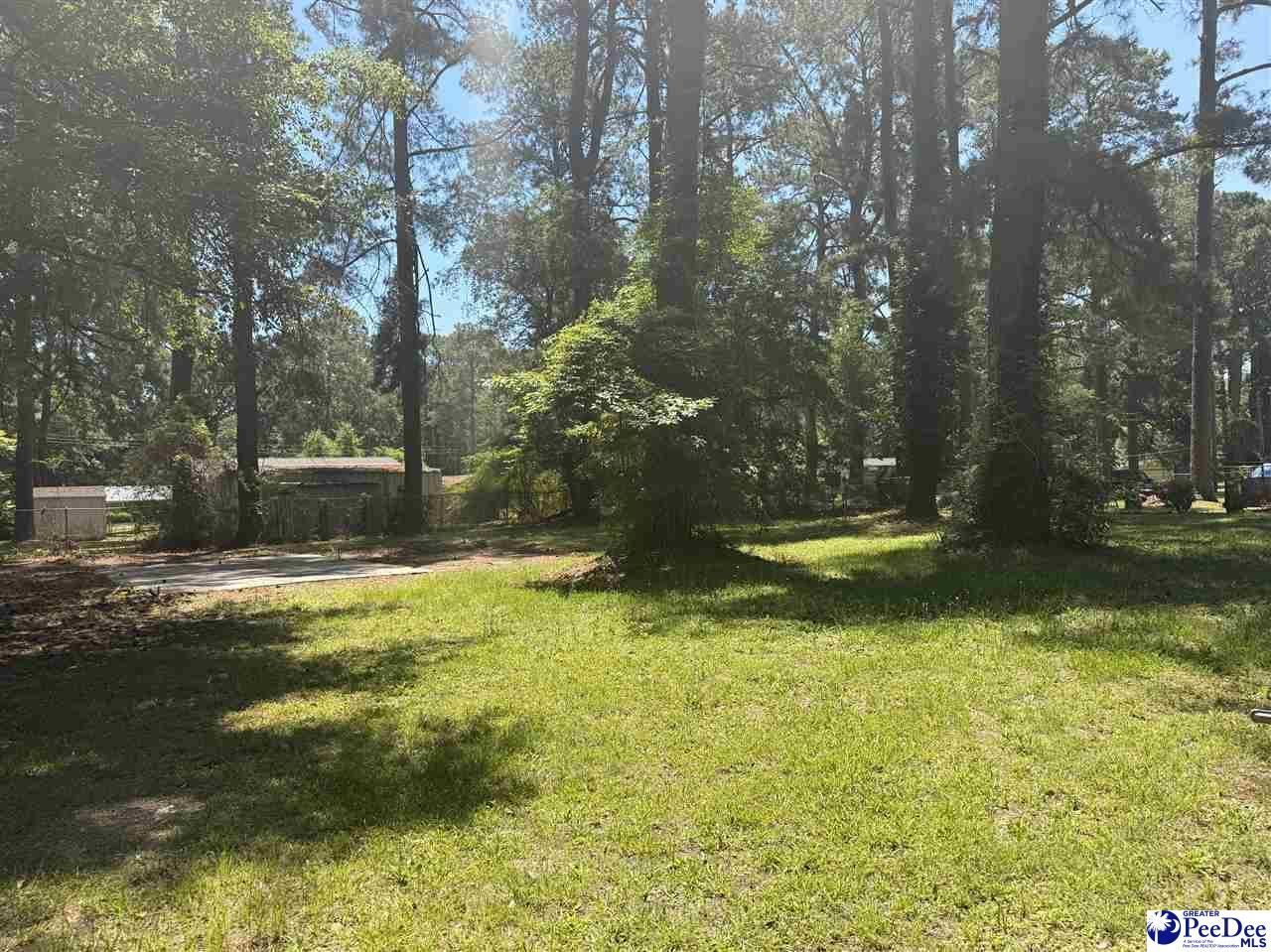 2104 New Hope Dr Photo 17