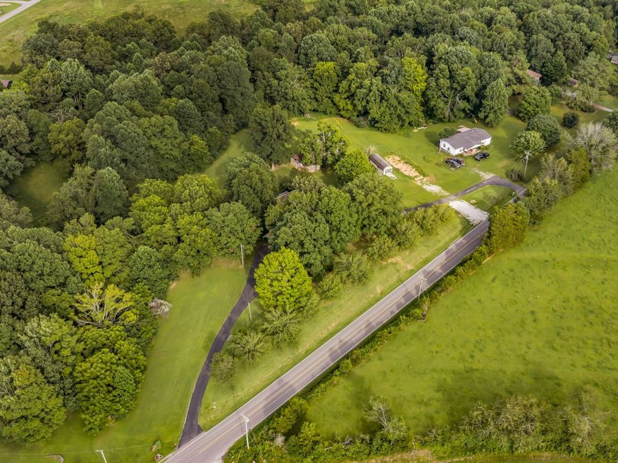 Property Image 34