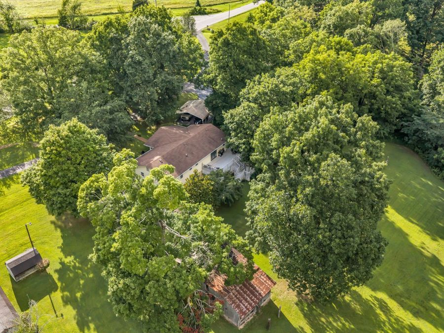 Property Image 42