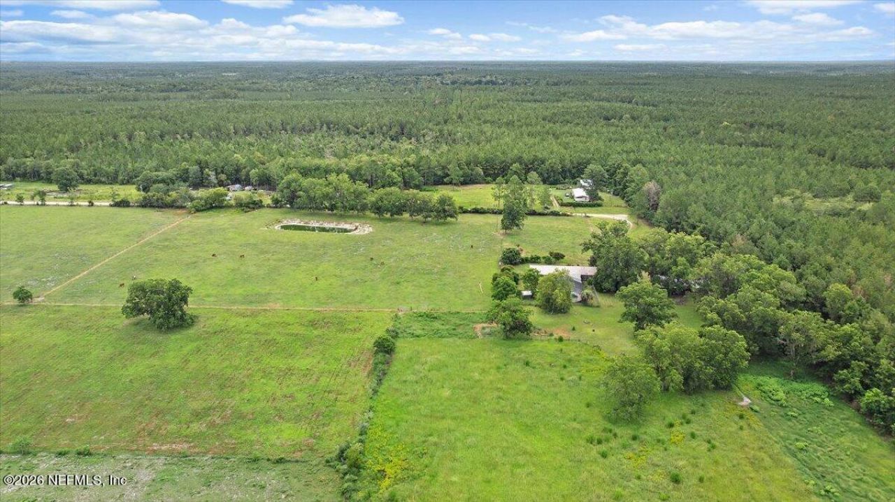 3476 Clifford Dugger Road, Glen St. Mary, FL 32040 Photo