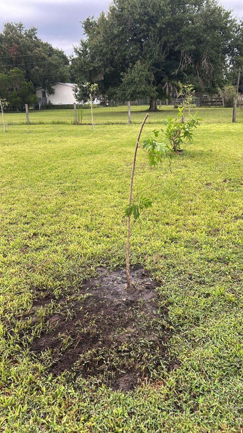 5219 N County Road 663, Bowling Green, FL 33834 Photo
