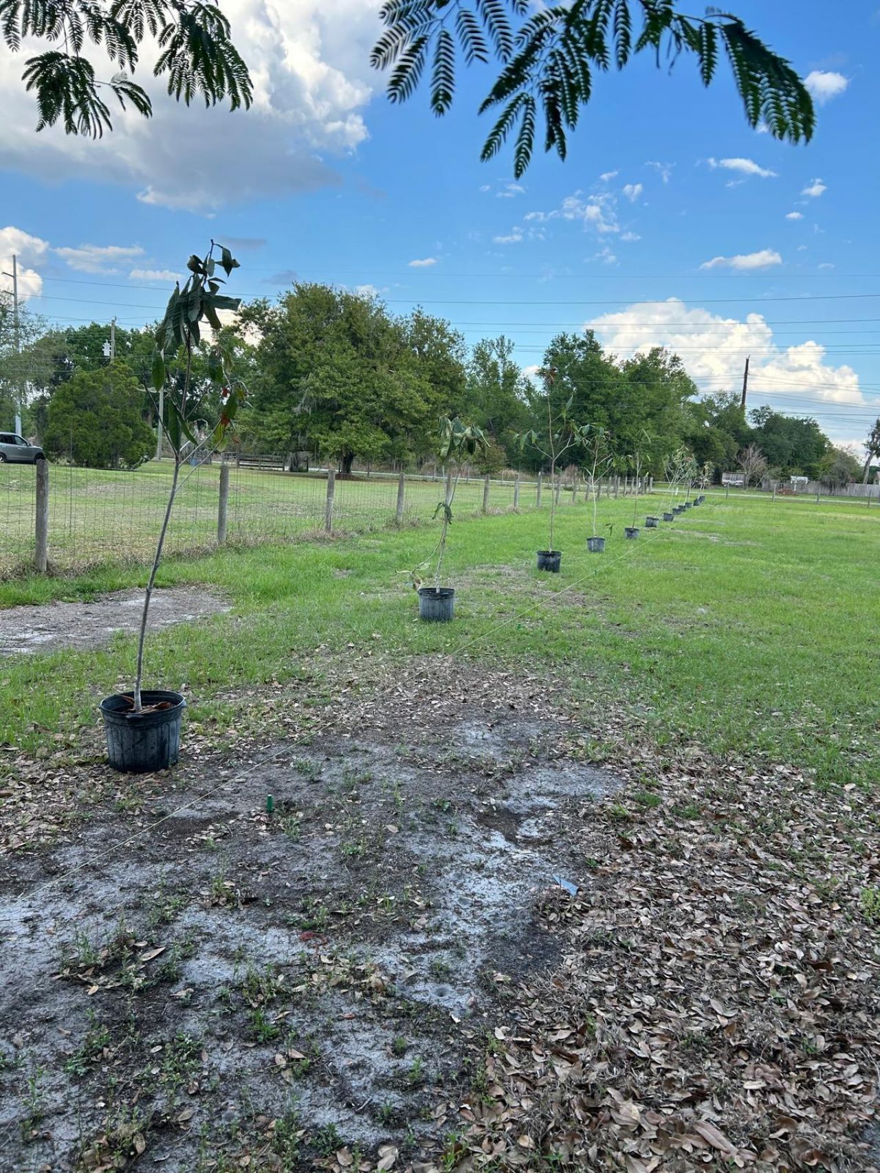 5219 N County Road 663, Bowling Green, FL 33834 Photo