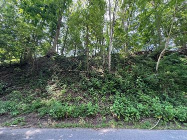 0 Parcel 114-5-1 Goode Station Road, Goode, VA 24556
