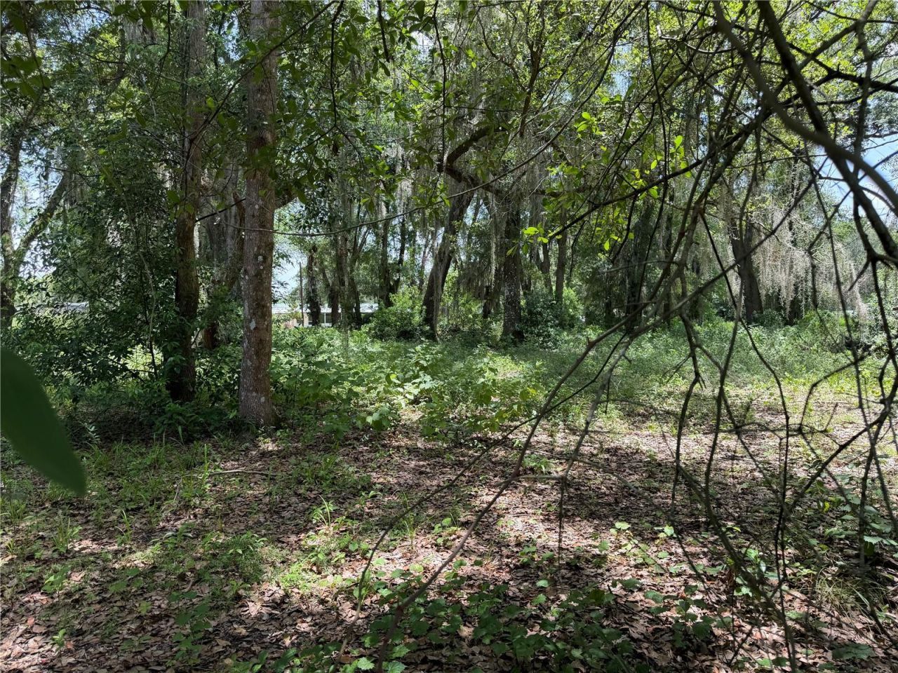 2008 Old Dixie Highway, Auburndale, FL 33823 Photo