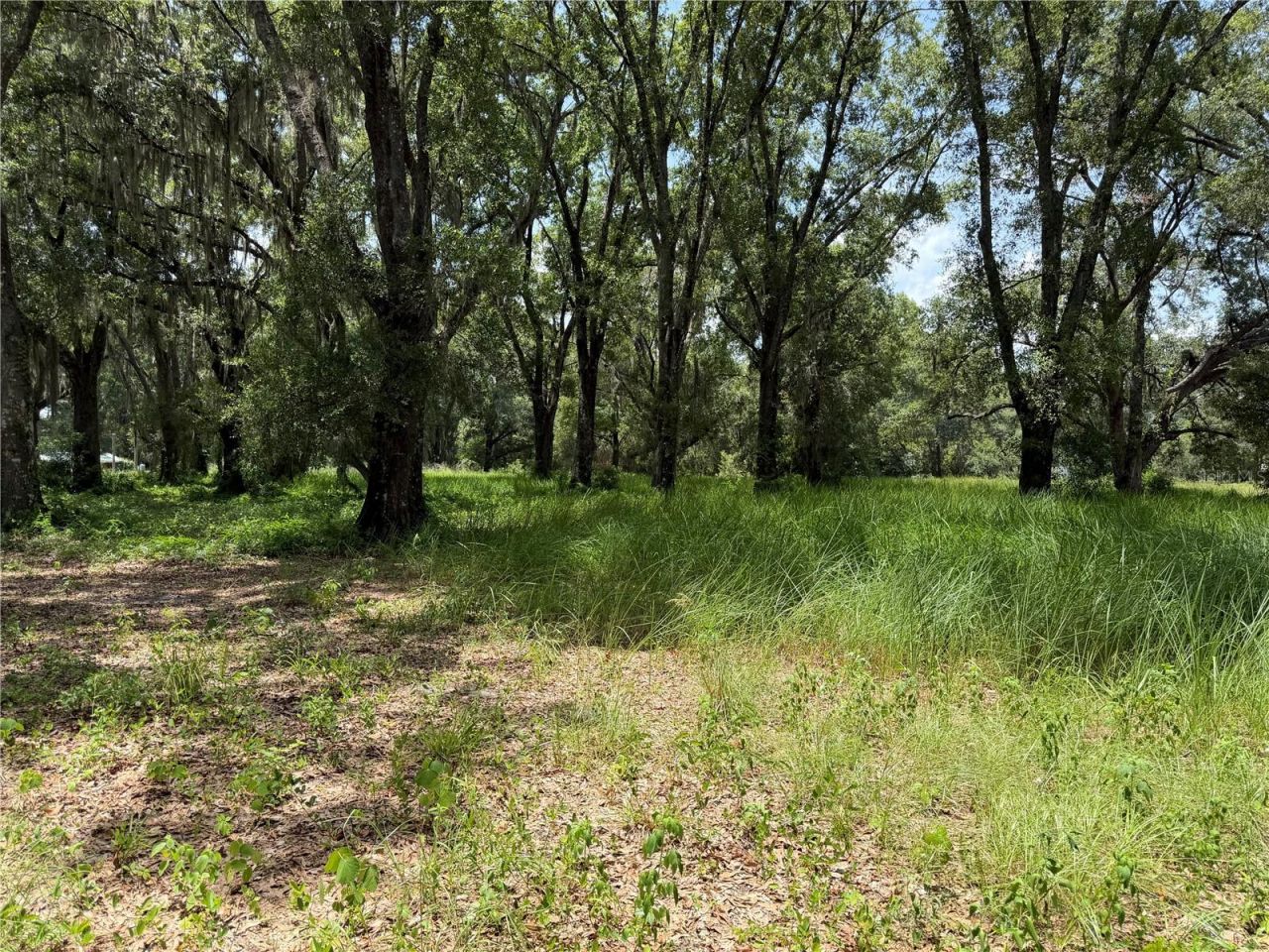 2008 Old Dixie Highway, Auburndale, FL 33823 Photo