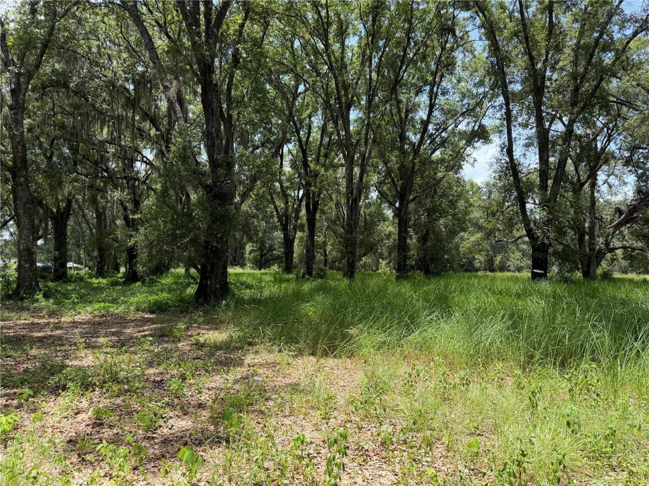 2008 Old Dixie Highway, Auburndale, FL 33823 Photo