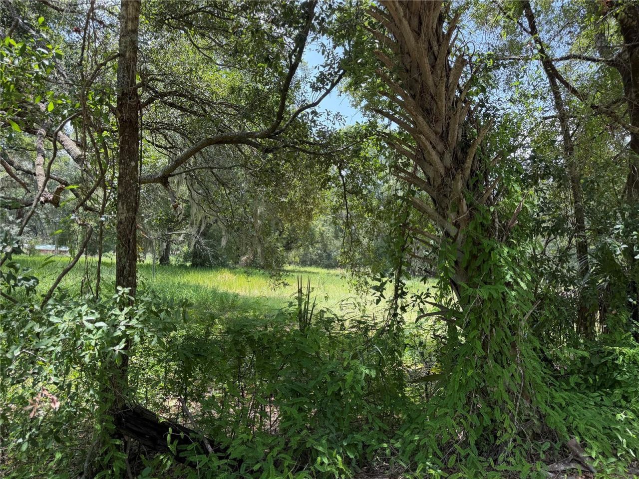 2008 Old Dixie Highway, Auburndale, FL 33823 Photo