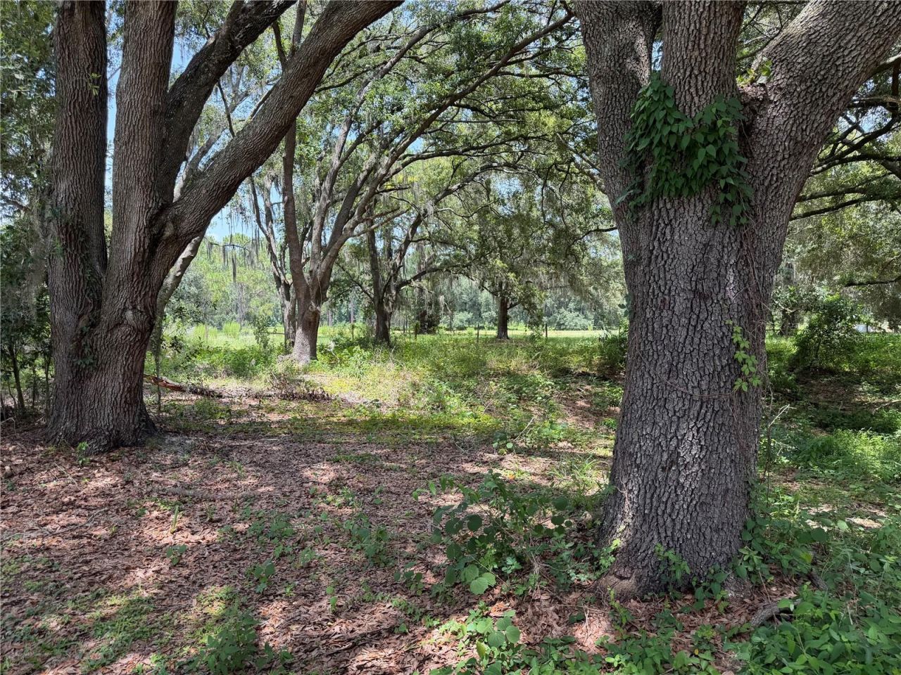 2008 Old Dixie Highway, Auburndale, FL 33823 Photo
