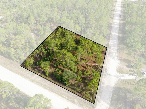 0000 NE 131 LOT 10 TERRACE , WILLISTON, FL 32696