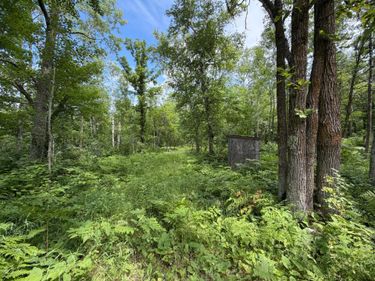 TBD County 95 , Laporte, MN 56461