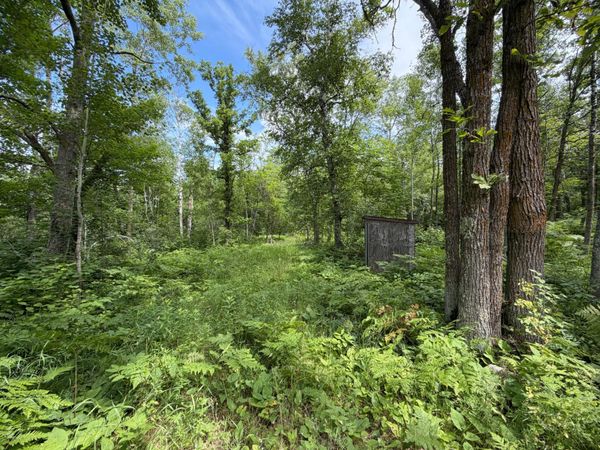 TBD County 95 , Laporte, MN 56461