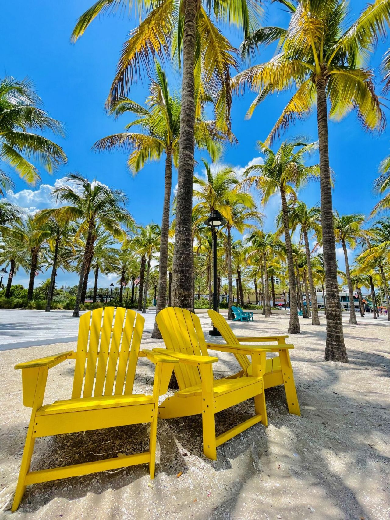 77 S Birch Road, Unit 7D, Fort Lauderdale, FL 33316 Photo