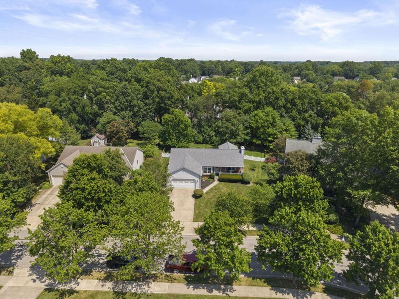 465 Ablemarle Circle, Delaware, OH 43015 Photo 39