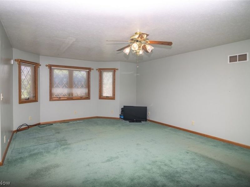 91100 Eckley Road, Jewett, OH 43986 Photo 19