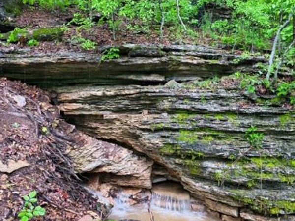 583 County Road 6561 , Berryville, AR 72616