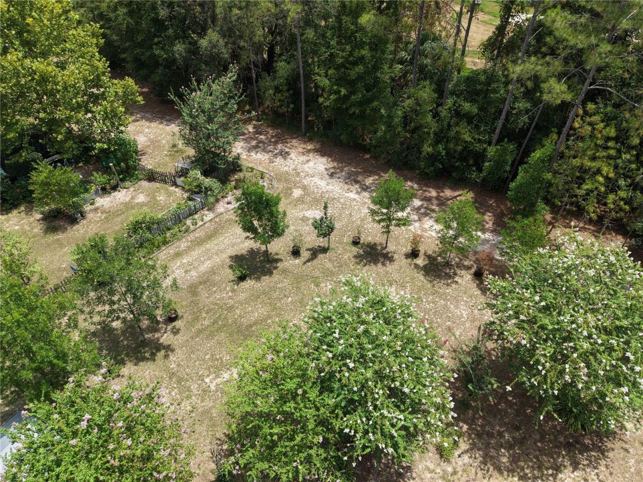 6482 SE 55th Street, Trenton, FL 32693 Photo