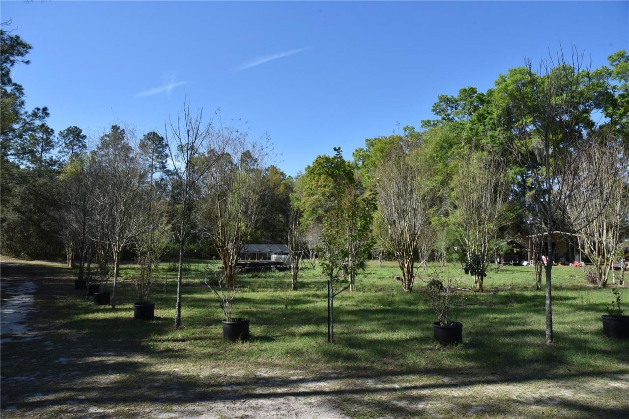 6482 SE 55th Street, Trenton, FL 32693 Photo