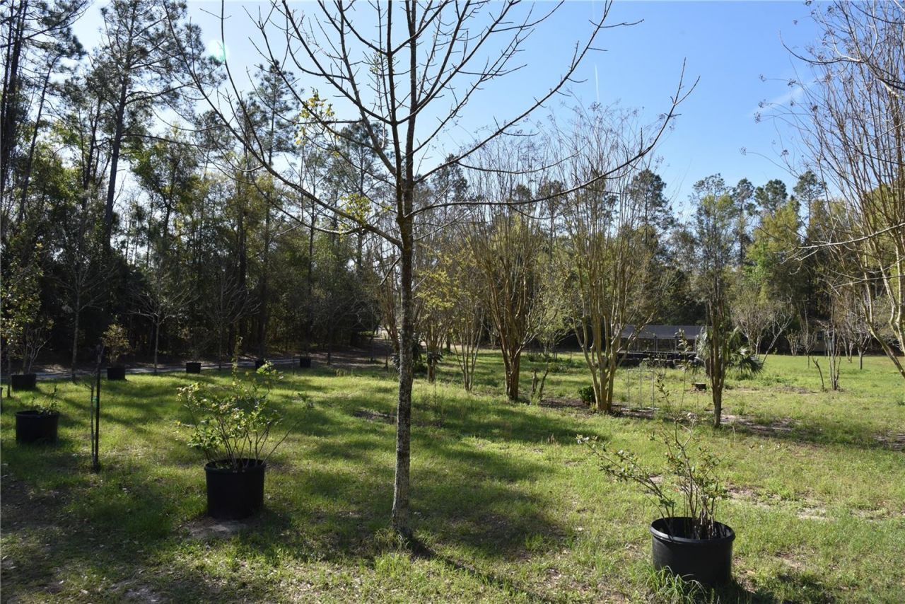 6482 SE 55th Street, Trenton, FL 32693 Photo