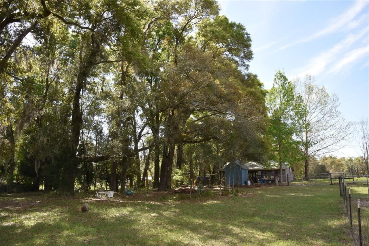 6482 SE 55th Street, Trenton, FL 32693 Photo