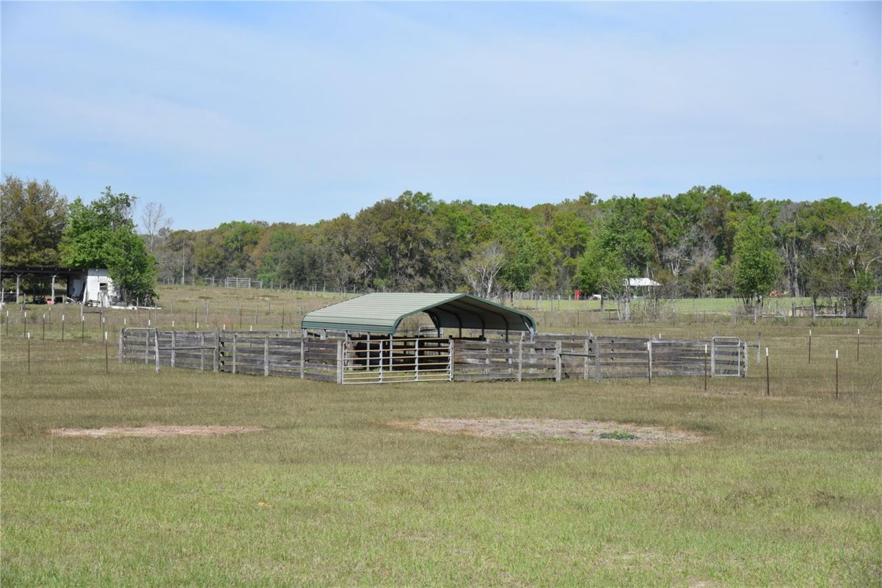 6482 SE 55th Street, Trenton, FL 32693 Photo