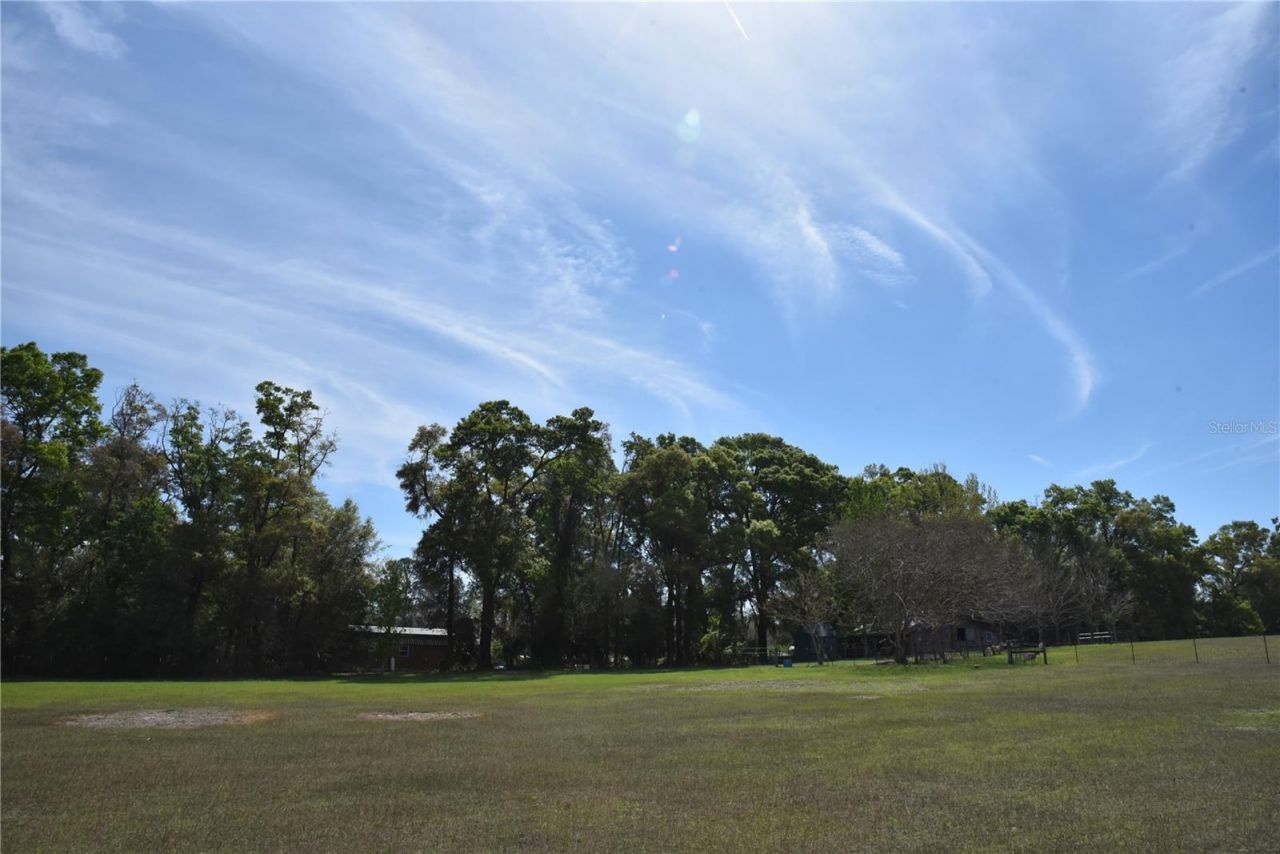 6482 SE 55th Street, Trenton, FL 32693 Photo
