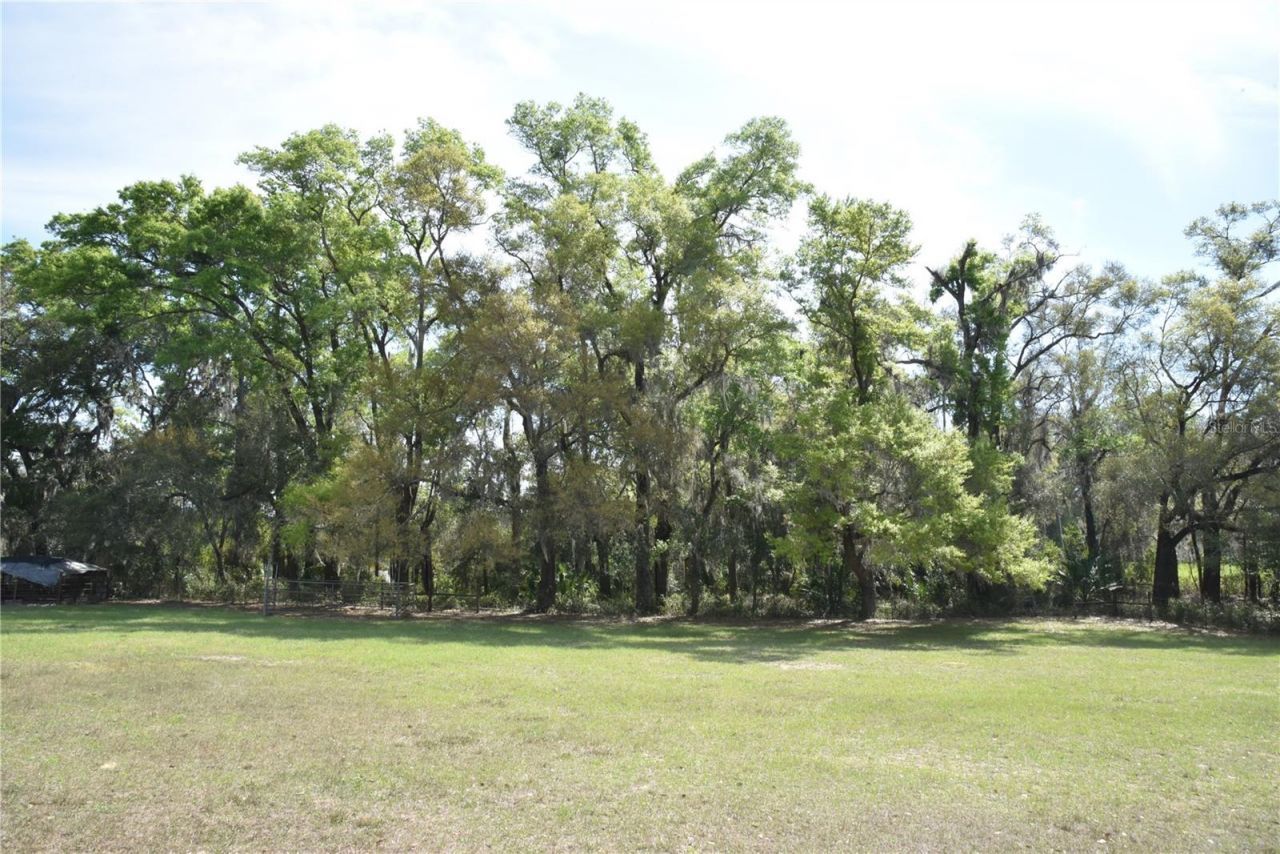 6482 SE 55th Street, Trenton, FL 32693 Photo