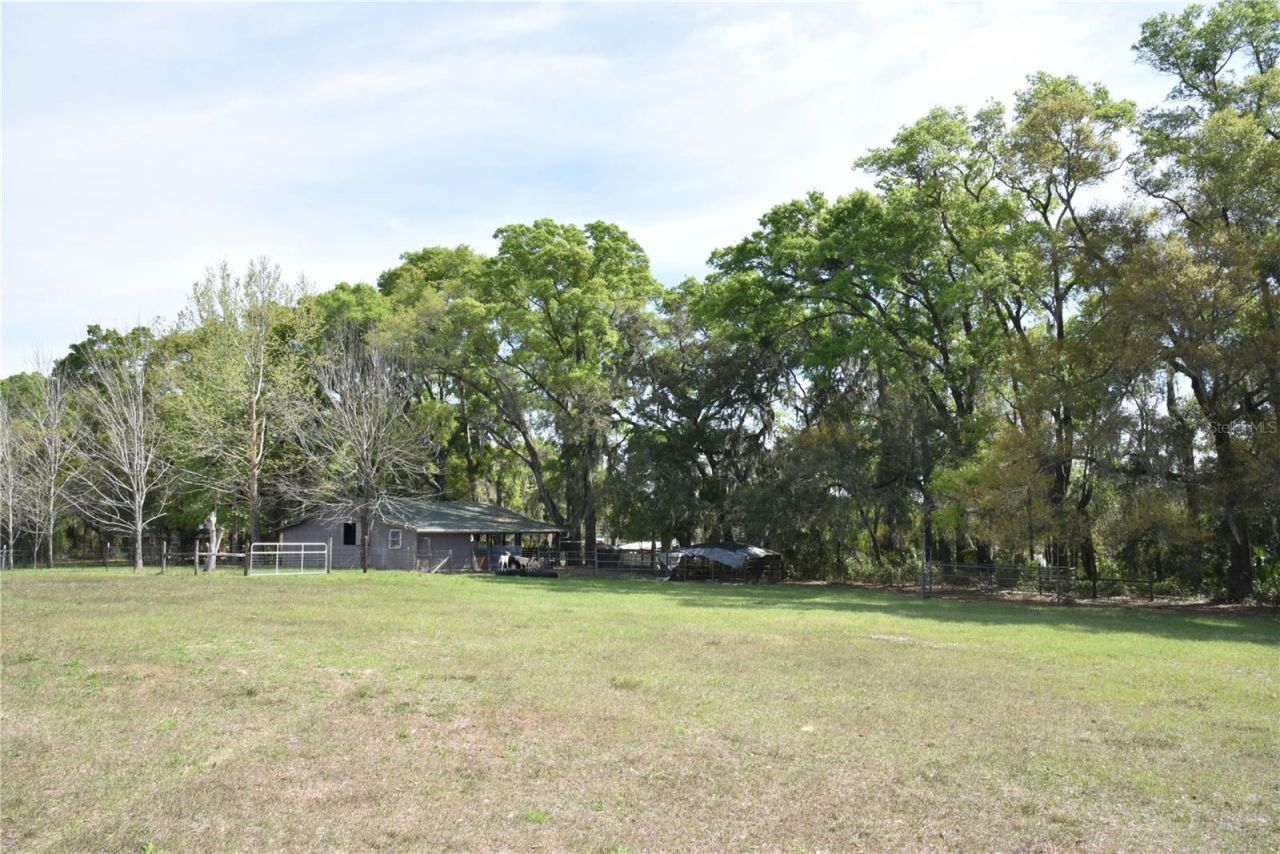 6482 SE 55th Street, Trenton, FL 32693 Photo