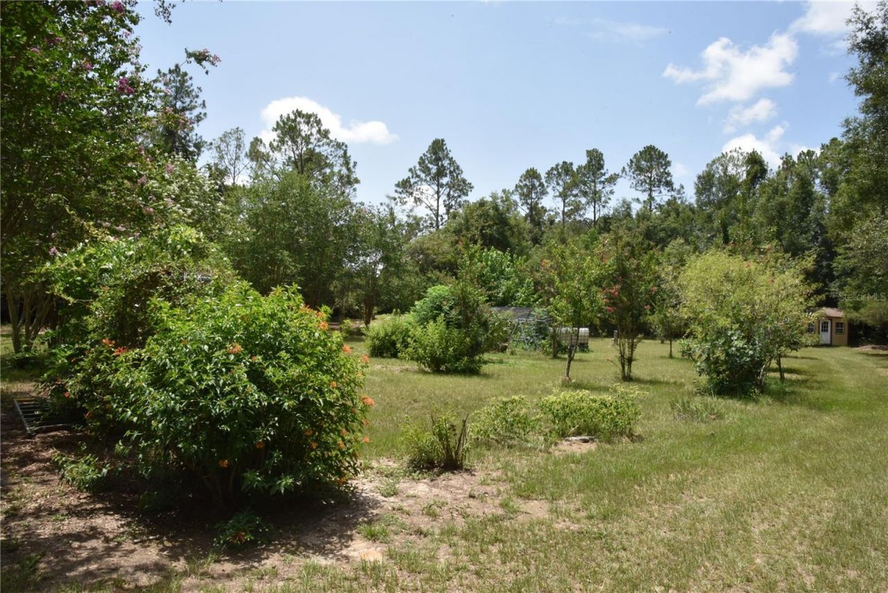 6482 SE 55th Street, Trenton, FL 32693 Photo