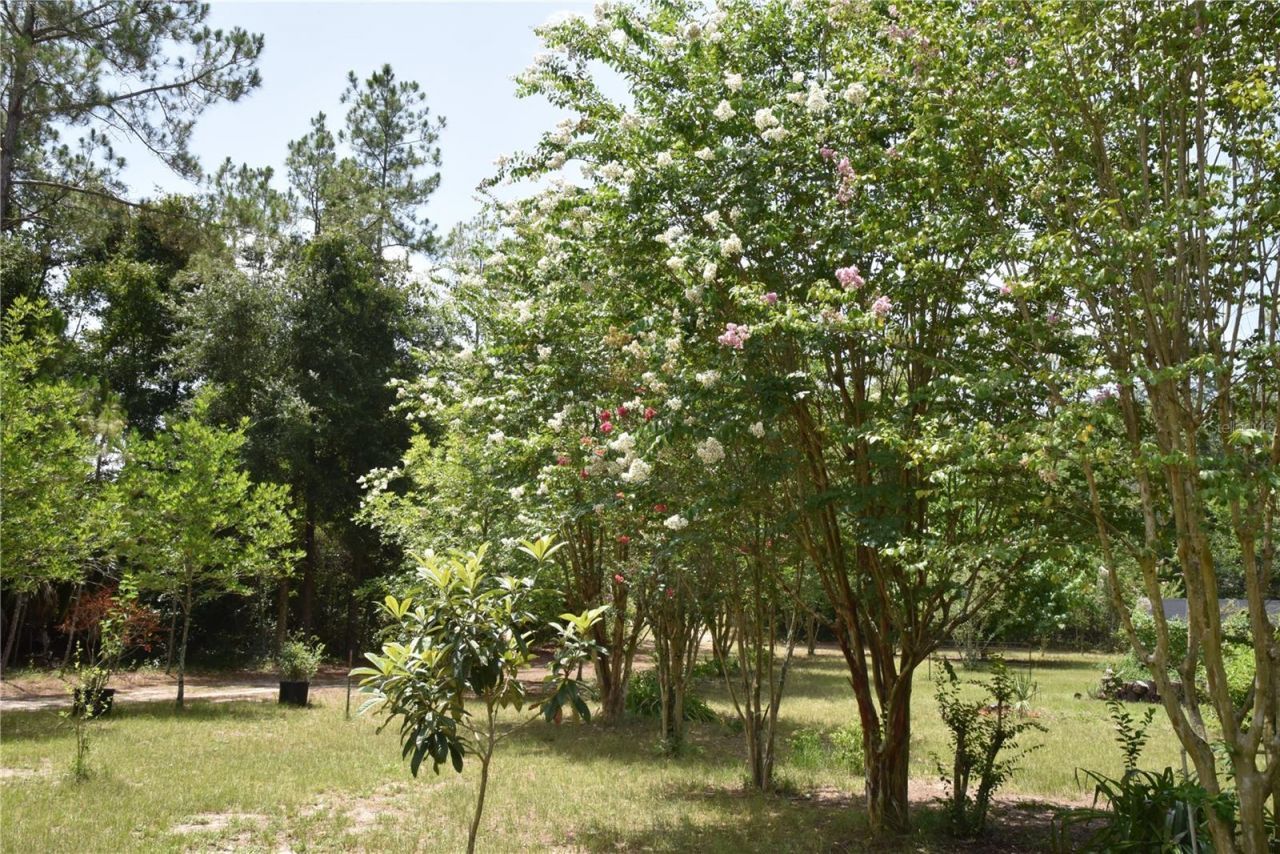 6482 SE 55th Street, Trenton, FL 32693 Photo