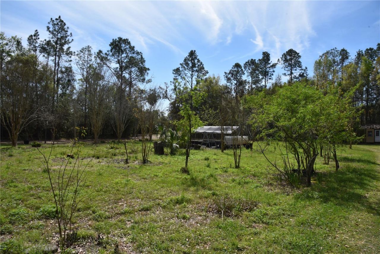 6482 SE 55th Street, Trenton, FL 32693 Photo
