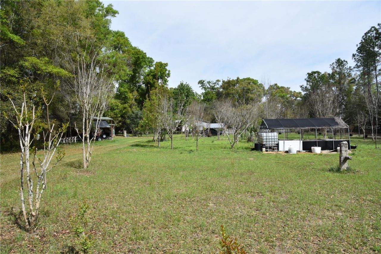6482 SE 55th Street, Trenton, FL 32693 Photo