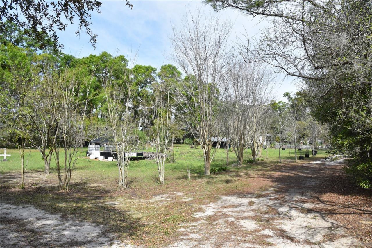 6482 SE 55th Street, Trenton, FL 32693 Photo
