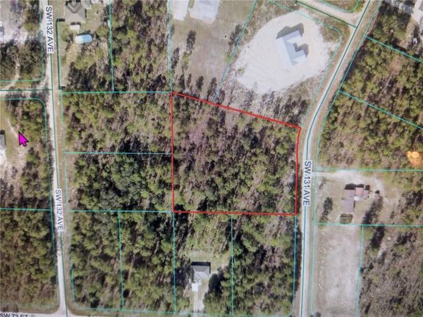 00 SW 131 AVENUE , OCALA, FL 34481