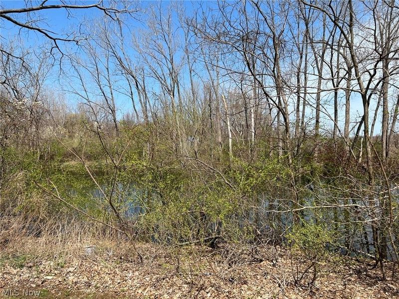4867 N Ridge Road , Perry, OH 44081 Photo 6
