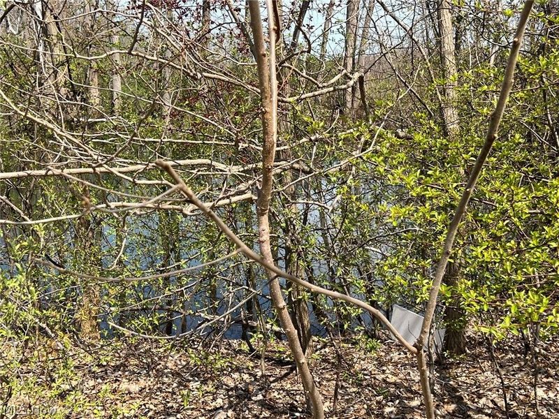 4867 N Ridge Road , Perry, OH 44081 Photo 7