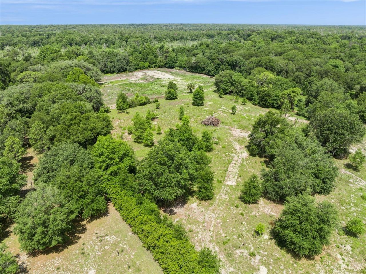 2040 Holly Hammock Road, De Leon Springs, FL 32130 Photo