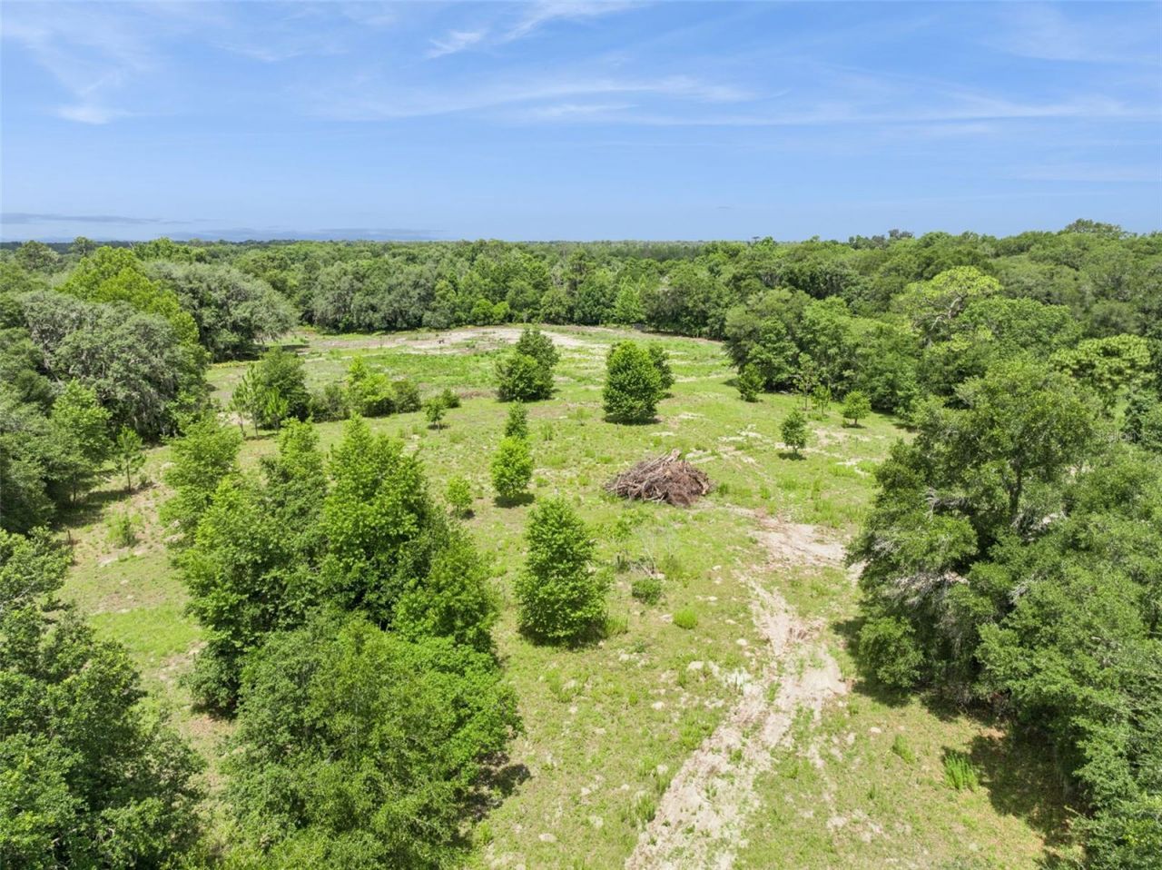 2040 Holly Hammock Road, De Leon Springs, FL 32130 Photo