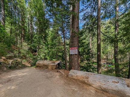 4 34 Milestone Tr, Kyburz, CA 95720 Photo