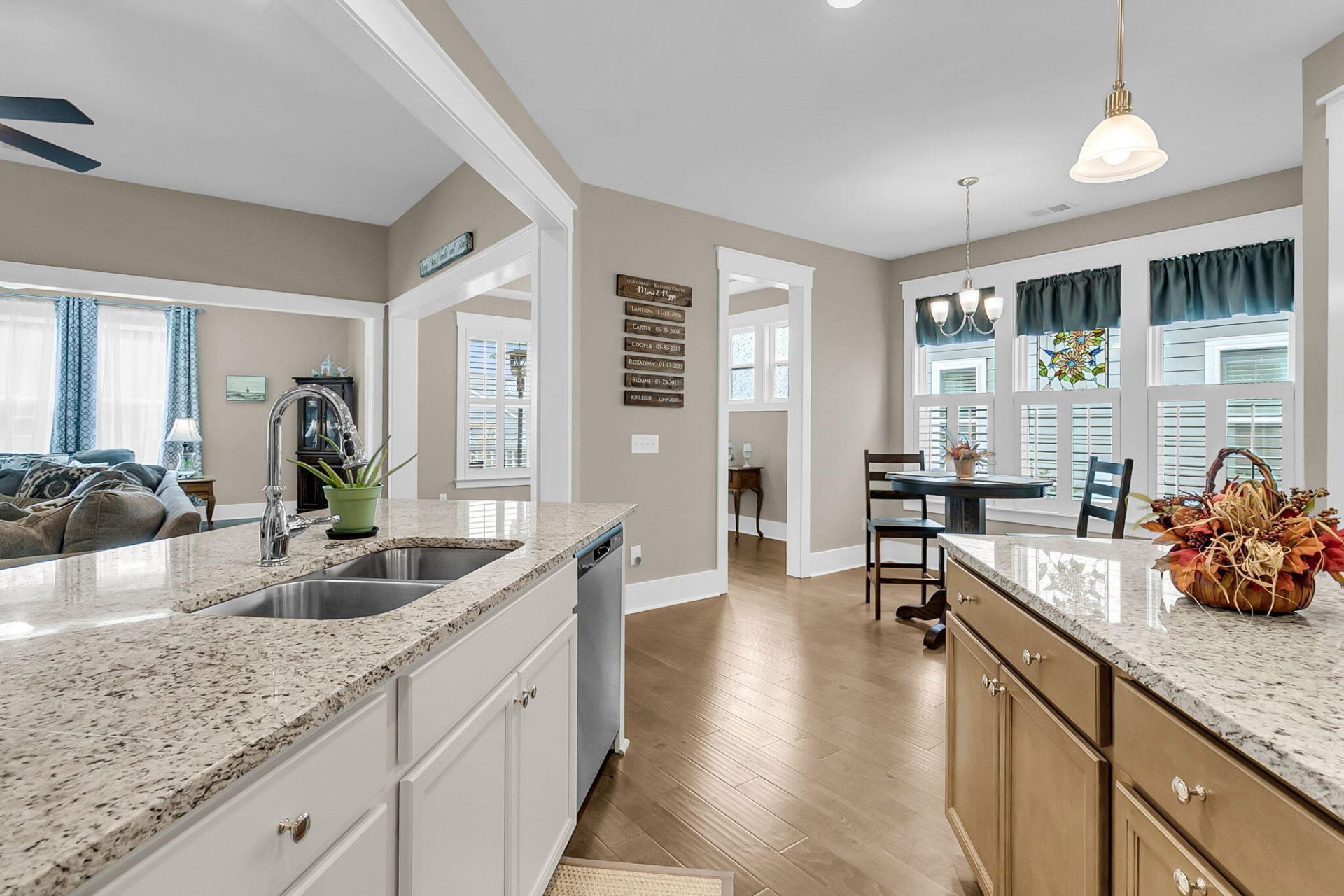 4029 Wood Violet Lane Photo 3