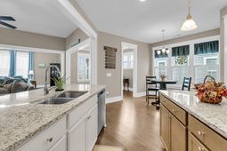 4029 Wood Violet Lane photo 4