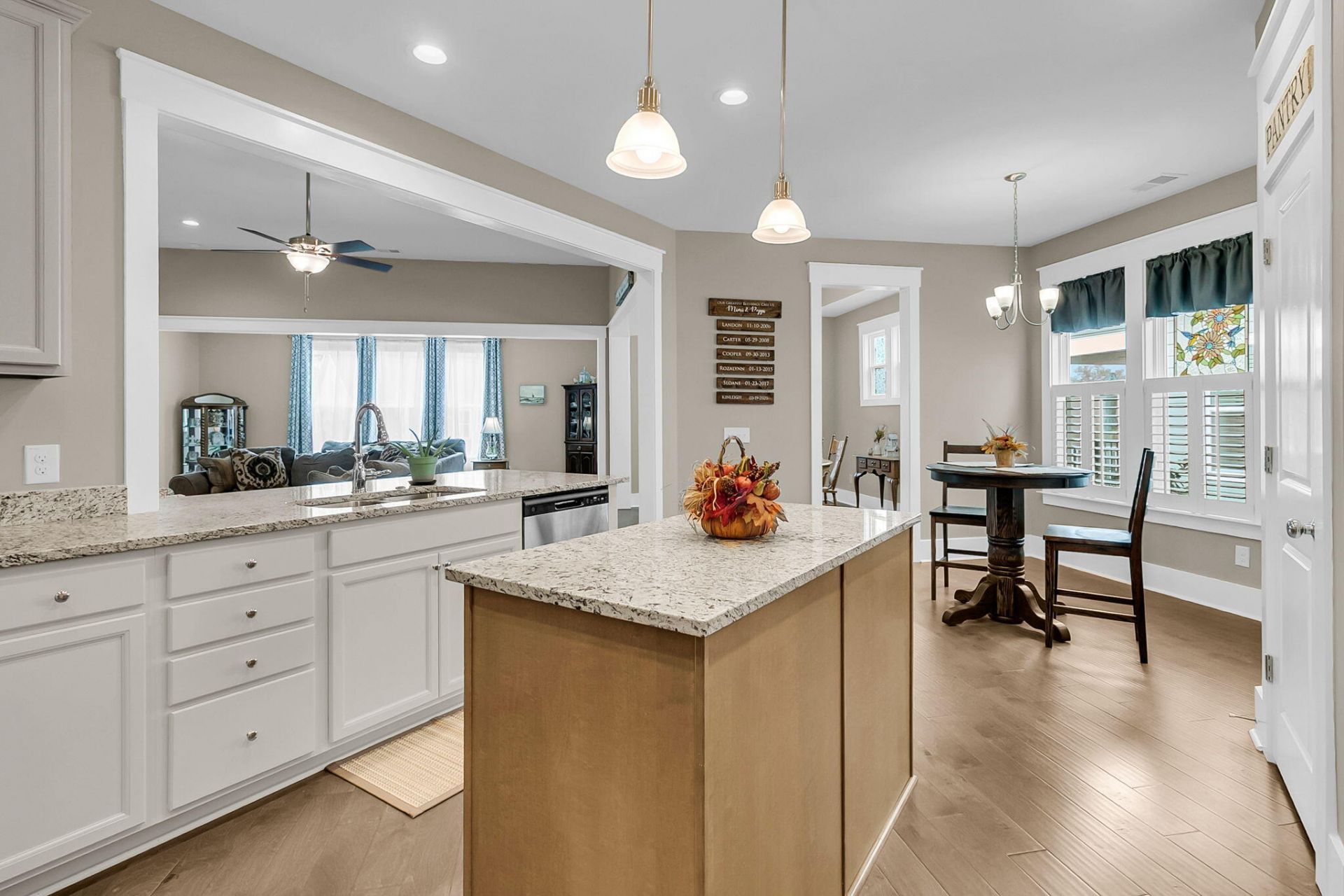 4029 Wood Violet Lane Photo 4